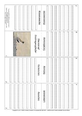 Faltbuch-Goldregenpfeifer.pdf